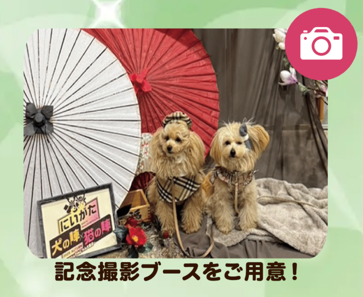 にいがた犬の陣・猫の陣