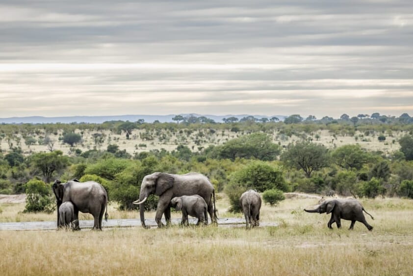 Limpopo province (South Africa) | Armchair Traveler Limpopo province (South Africa)