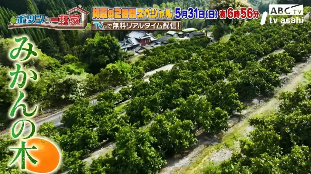 【みやま市】福岡県特産の山川みかんを育てる夫婦が登場!「ポツンと一軒家」5月31日放送 | 福岡筑後のローカルメディア 筑後いこい 【みやま市】福岡県特産の山川みかんを育てる夫婦が登場!「ポツンと一軒家」5月31日放送