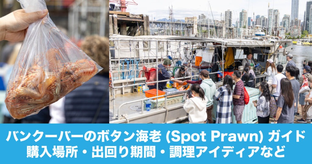 5月, 2026 - LifeVancouver カナダ・バンクーバー現地情報