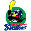 ヤクルト