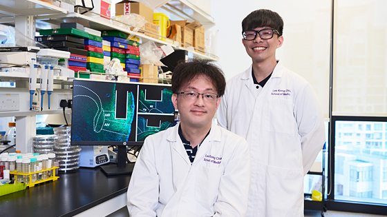 衝動的行動を制御する脳回路を解明 シンガポール南洋理工大学|ASEAN科学技術ニュース|Science Portal ASEAN ASEANの科学技術の今を伝える
