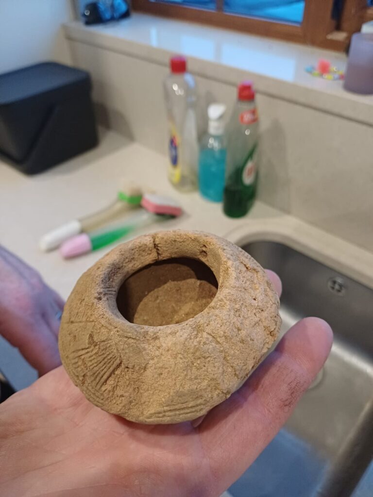 ランダム発見？