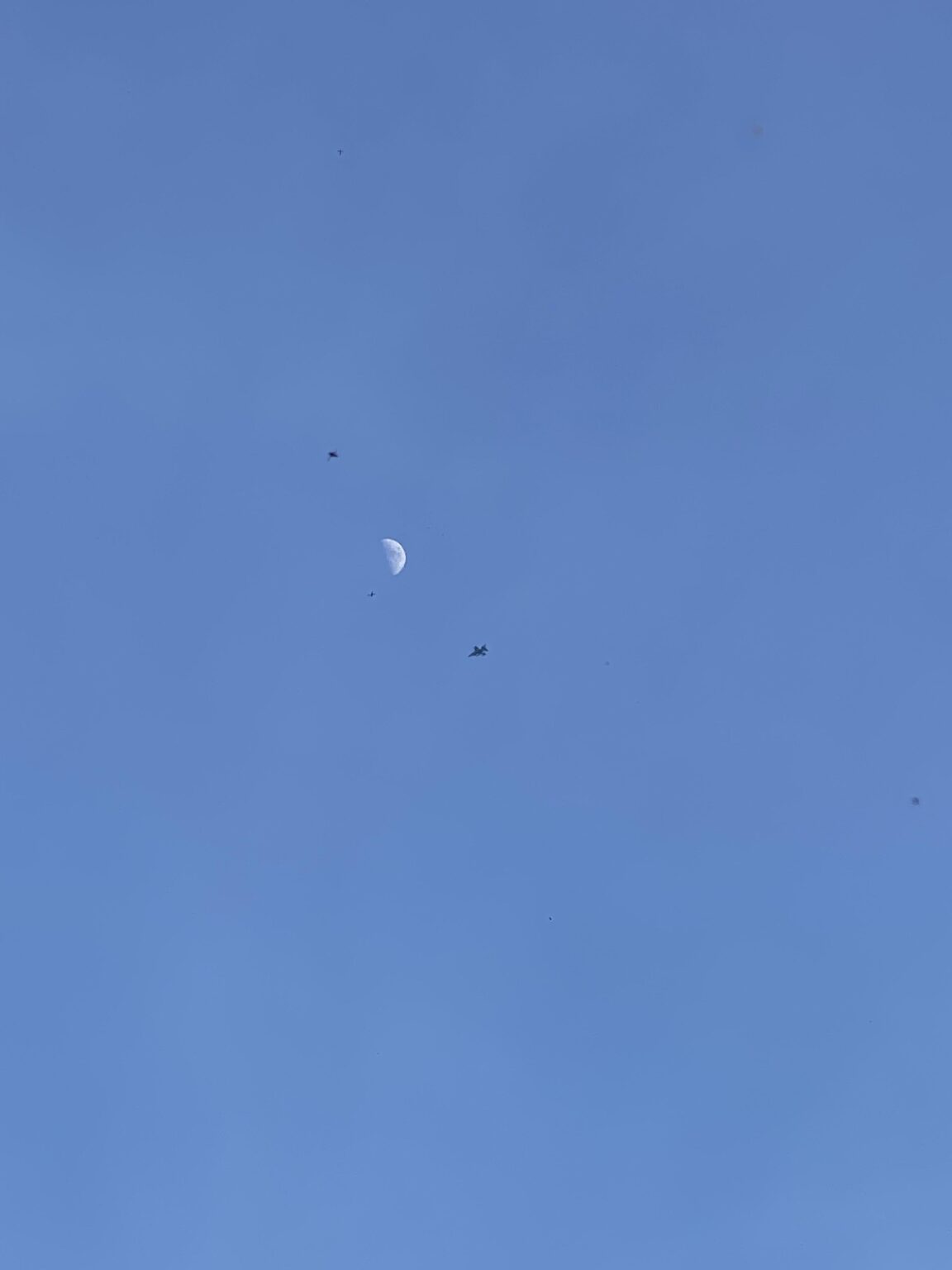 何人いるの...(NATO)