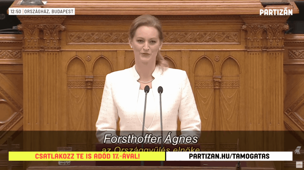 アグネス・フォルストホファー、オルセゲロス会長