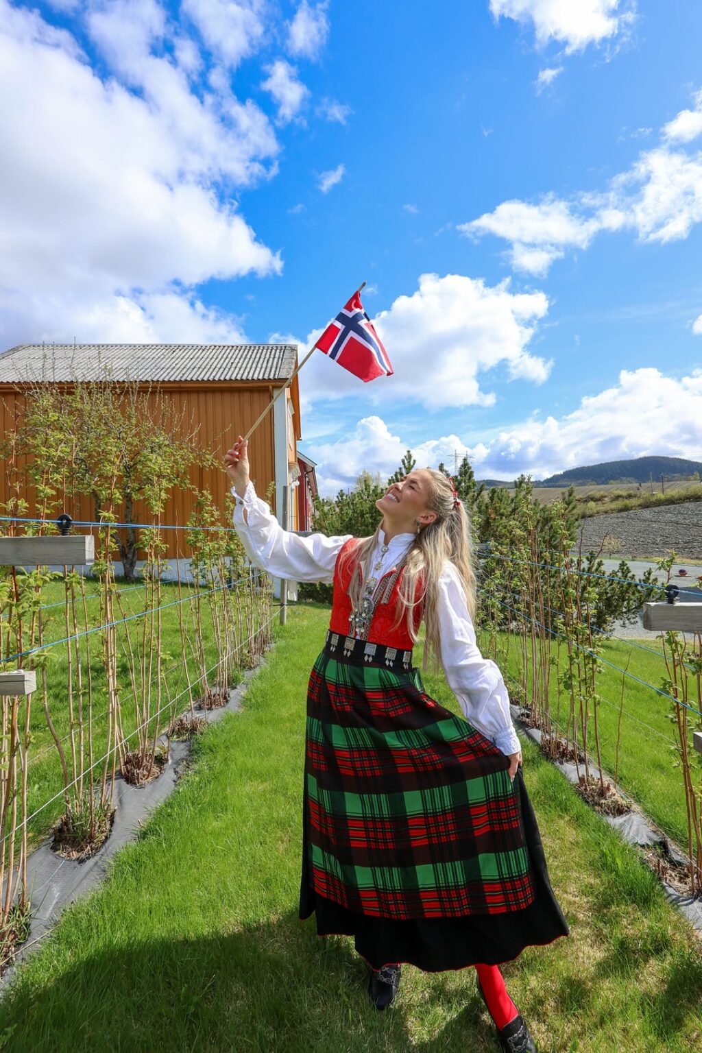 今週どのようにシッテンデ・マイを祝ったのかを少しおさらい [Nordmøre, Norway] 🇳🇴