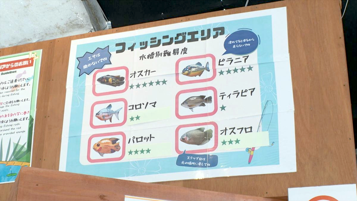 ウィンウィン　2026年5月3日放送