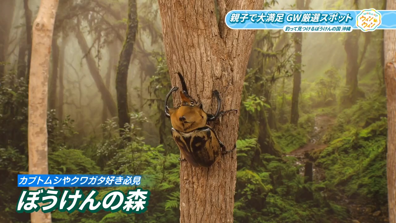 ウィンウィン　2026年5月3日放送