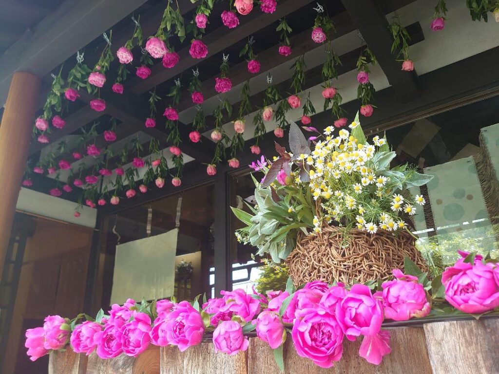 real local
山形Yamagata Life Diary: Kameya Natural Plant Dye Studio Yamagata Life Diary: Kameya Natural Plant Dye Studio