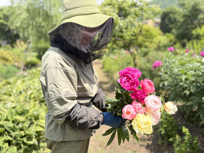 Yamagata Life Diary: Kameya Natural Plant Dye Studio