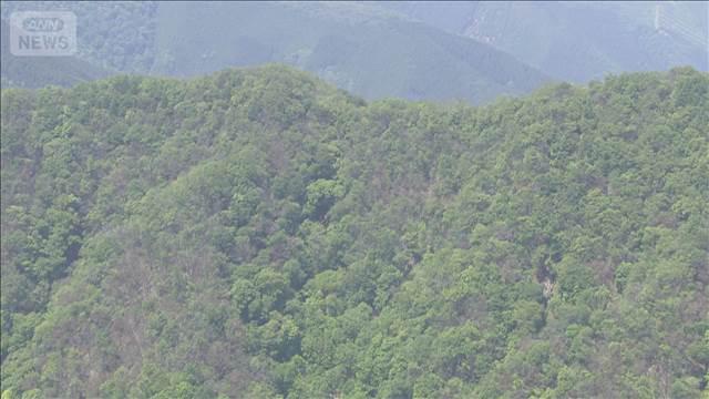 奥多摩で熊に食われ下半身のみになった遺体を発見