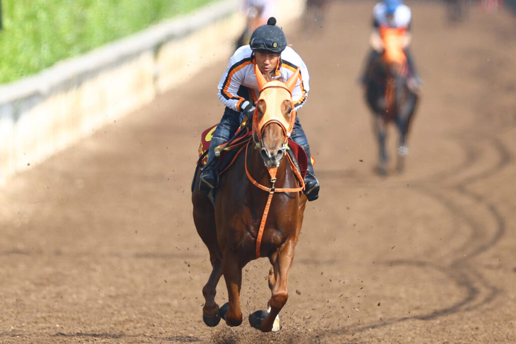 【オークス】枠順確定 スターアニスは5枠10番 ラフターラインズは8枠18番 武豊アランカールは2枠3番 – 東スポ競馬 【オークス】枠順確定 スターアニスは5枠10番 ラフターラインズは8枠18番 武豊アランカールは2枠3番 - 東スポ競馬