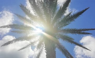 八重山に熱中症アラート ことし全国初 熱中症対策を呼びかけ