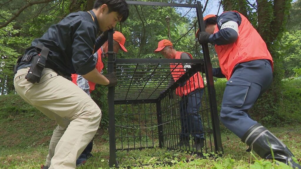 【クマ対策】ガバメントハンターがわな設置の訓練 岩手(2026年5月27日掲載)|TVI NEWS NNN 共有