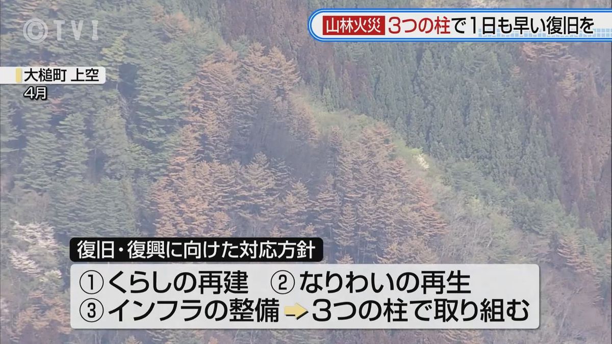 【山林火災】岩手県復興推進本部会議 「くらしの再建」「なりわいの再生」「インフラの整備」 3つの柱取り組みへ