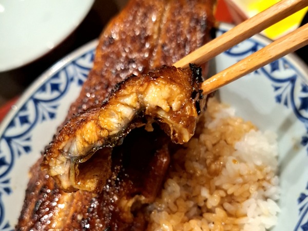 ふじさん食レポ11
