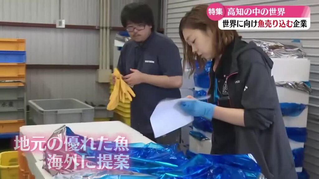 共有