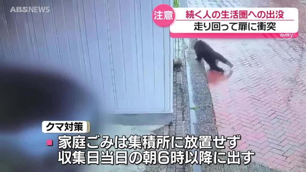共有