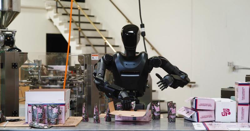 A robot packs boxes