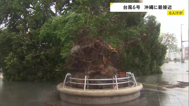 【台風6号最接近】最大瞬間風速40.6m 沖縄・うるま市で6月観測史上最大に 県内で少なくとも6人けが 各地で街路樹倒れる(TBS NEWS DIG)|dメニューニュース(NTTドコモ) 【台風6号最接近】最大瞬間風速40.6m 沖縄・うるま市で6月観測史上最大に 県内で少なくとも6人けが 各地で街路樹倒れる