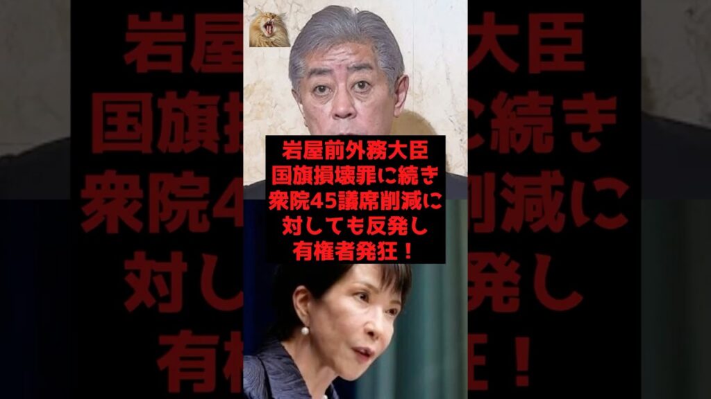 【速報】岩屋前外務大臣、国旗損壊罪に続き衆院45議席削減に対しても反発し有権者発狂！
