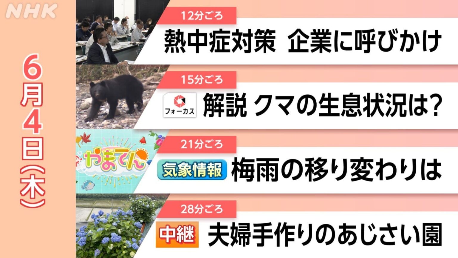 【見逃し配信】山口県でクマの分布域に変化？何がわかり、何をしたらいいのか解説 夫婦手作りのあじさい園（下関 豊北町） 6/4(木)情報維新！やまぐち | NHK山口