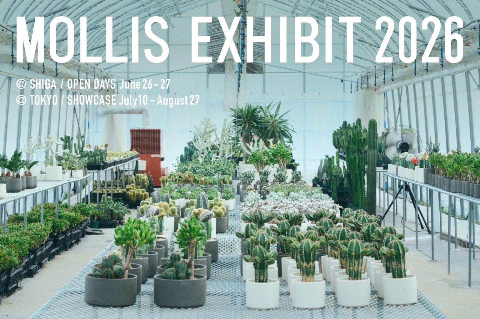 植物ブランドMOLLISが滋賀・東京の2箇所でMOLLIS EXHIBIT 2026を開催 | 株式会社キントーのプレスリリース 植物ブランドMOLLISが滋賀・東京の2箇所でMOLLIS EXHIBIT 2026を開催 | 株式会社キントーのプレスリリース