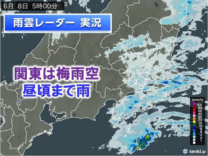 関東は8日の昼頃まで雨 9日以降も曇りや雨でムシムシ 梅雨の晴れ間はいつ?(気象予報士 青山 亜紀子 2026年06月08日) – tenki.jp 関東は8日の昼頃まで雨 9日以降も曇りや雨でムシムシ 梅雨の晴れ間はいつ?