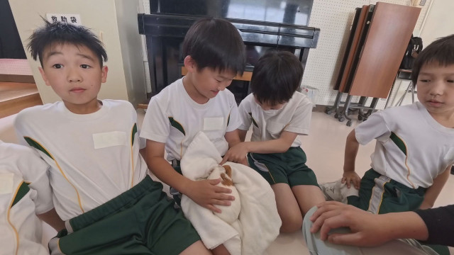 ふわふわな毛並みにつぶらな瞳 モルモットが小学校にやってきた 児童が思いやりや責任感をもって飼育する大切さ学ぶ(FBC福井放送)|dメニューニュース(NTTドコモ) ふわふわな毛並みにつぶらな瞳 モルモットが小学校にやってきた 児童が思いやりや責任感をもって飼育する大切さ学ぶ