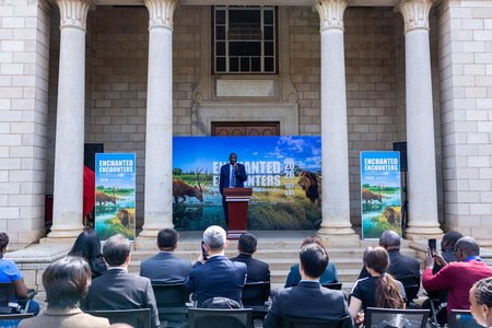 写真展「魅惑の出会い:黄海の湿地からアフリカのサバンナへ」がケニアで開催 Xinhua News Agency Africa Regional Bureau 写真展「魅惑の出会い:黄海の湿地からアフリカのサバンナへ」がケニアで開催 Xinhua News Agency Africa Regional Bureau