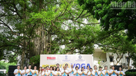 【写真】ニャンダン新聞社労働組合とインド大使館による交流および合同ヨガパフォーマンス。