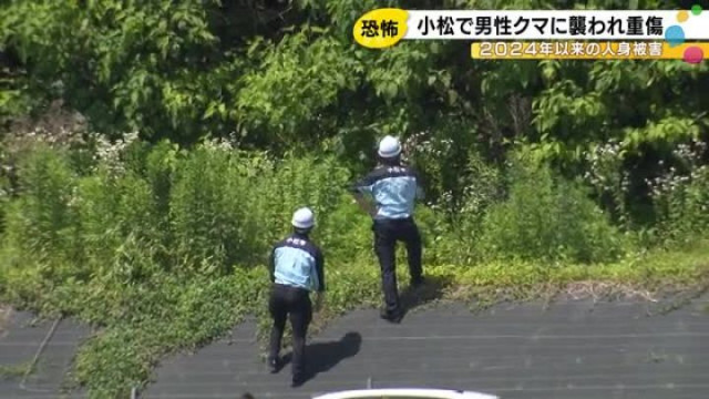 顔や頭など全身に傷…石川県小松市でクマに80代男性が襲われ大ケガ 近隣住民「そんなことあるとは…」(石川テレビ ニュース)|dメニューニュース(NTTドコモ) 顔や頭など全身に傷…石川県小松市でクマに80代男性が襲われ大ケガ 近隣住民「そんなことあるとは…」