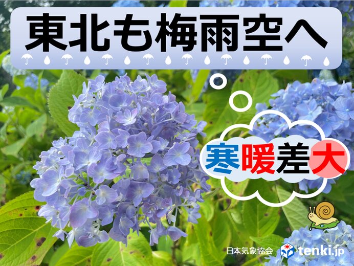 東北地方も梅雨の季節へ 仙台など太平洋側は20日から長袖が必要な寒さに
