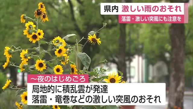 20日の県内 激しい雨のおそれ　落雷や突風などにも注意を【佐賀県】