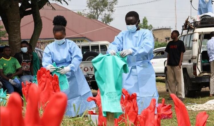 エボラ出血熱の流行:自立性の向上 ― アフリカの感染症対策能力強化の鍵 Vietnam.vn - Nền tảng quảng bá Việt Nam