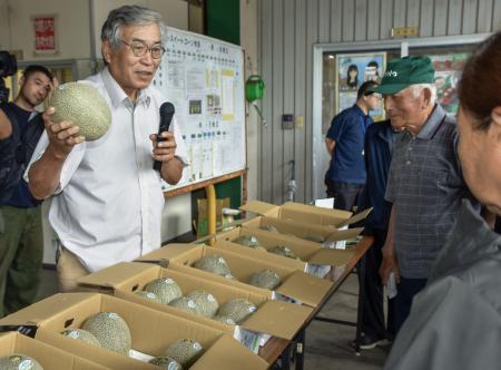 鳥取の大山メロン、本格出荷へ 小ぶりでも糖度は例年以上 | 全国のニュース | 福井新聞ONLINE 鳥取の大山メロン、本格出荷へ 小ぶりでも糖度は例年以上 | 全国のニュース | 福井新聞ONLINE