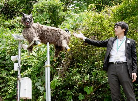 クマ撃退ロボ型装置の実証実験 ファミマ、群馬の店舗で | 全国のニュース | 福井新聞ONLINE