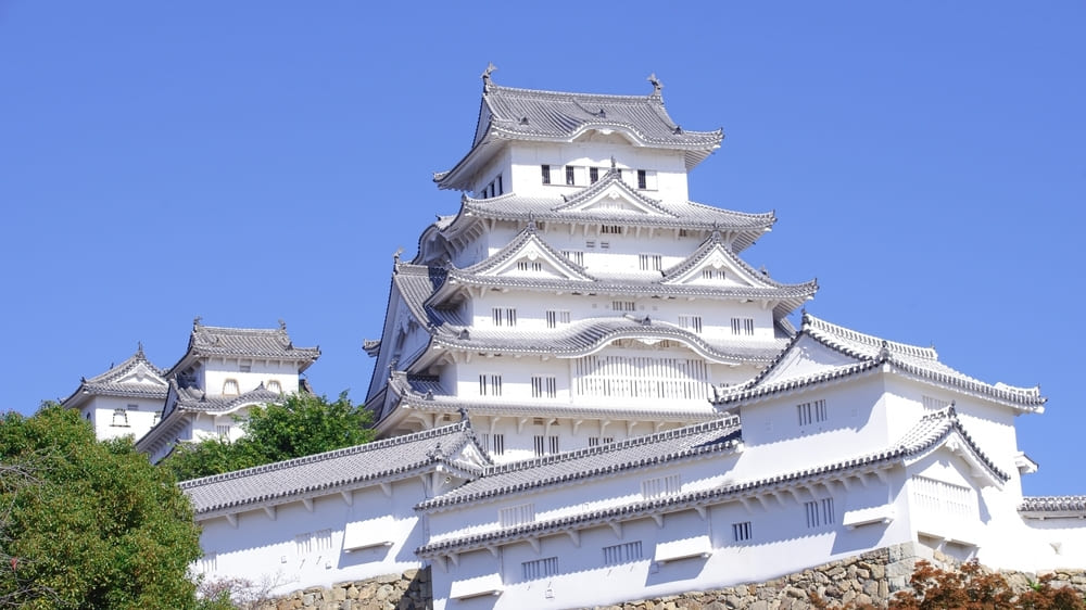 世界遺産・姫路城の裏に立地する「姫路西高校」は兵庫県の旧一中。国際理学科には全県から志願者が集まり… 日本の名門高校 - あの伝統校から注目の新勢力まで -｜教養｜婦人公論.jp