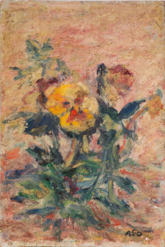 拡大画像を表示する