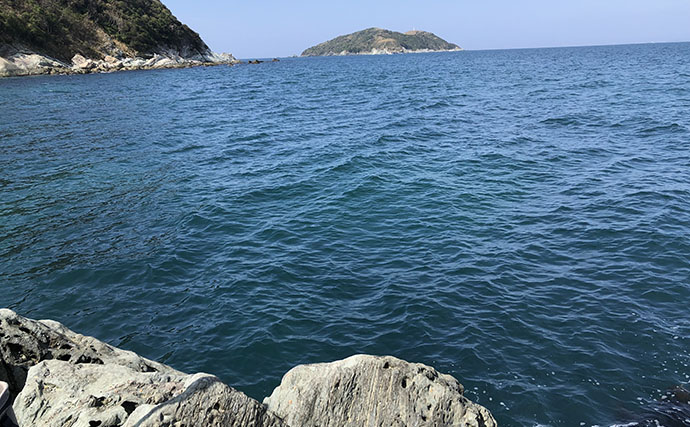 チヌフカセ釣り大会に参戦【和歌山・初島】 開始わずか30分でリミット達成！