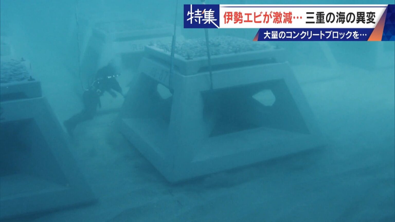 30年コンクリートの塊を沈め続けても止まらない“磯焼け” 三重の海で進む異変 伊勢エビも激減し… 「漁師は勧められない職業」(CBCテレビ) – Yahoo!ニュース 30年コンクリートの塊を沈め続けても止まらない“磯焼け” 三重の海で進む異変 伊勢エビも激減し… 「漁師は勧められない職業」(CBCテレビ) - Yahoo!ニュース