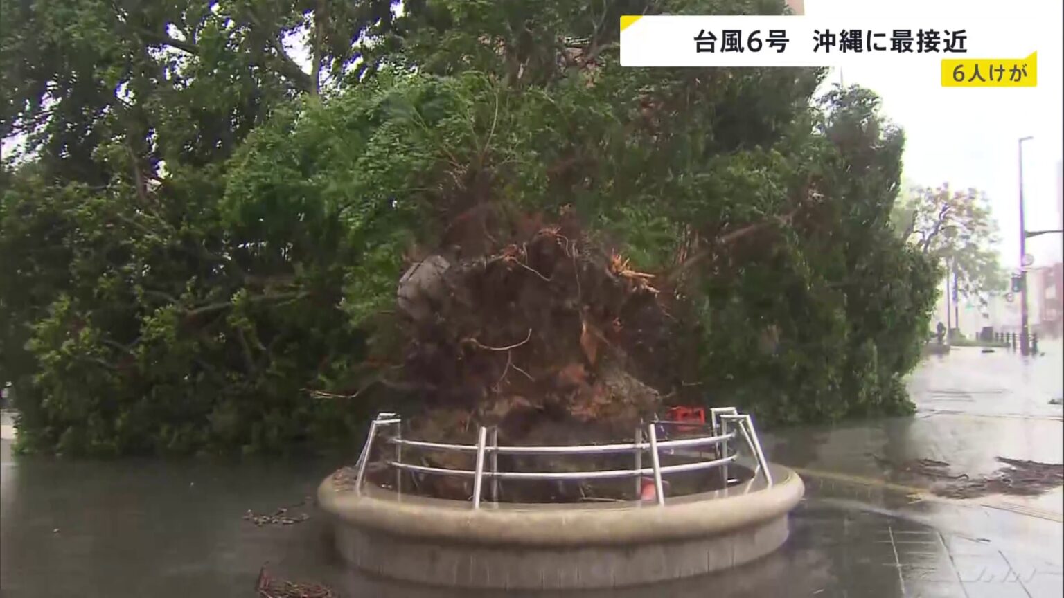 【台風6号最接近】最大瞬間風速40.6m 沖縄・うるま市で6月観測史上最大に 県内で少なくとも6人けが 各地で街路樹倒れる(TBS NEWS DIG Powered by JNN) 【台風6号最接近】最大瞬間風速40.6m 沖縄・うるま市で6月観測史上最大に 県内で少なくとも6人けが 各地で街路樹倒れる(TBS NEWS DIG Powered by JNN)