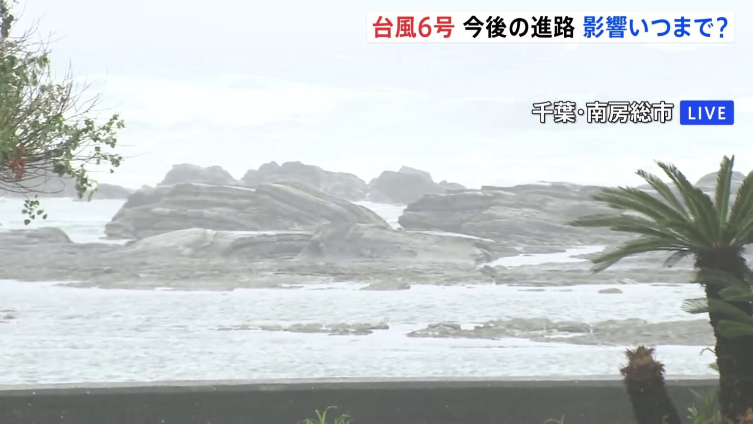 【台風6号 現地中継】千葉では夕方にかけ線状降水帯発生の可能性 南房総市内では暴風・波浪警報 避難所7つが開設(TBS NEWS DIG Powered by JNN) 【台風6号 現地中継】千葉では夕方にかけ線状降水帯発生の可能性 南房総市内では暴風・波浪警報 避難所7つが開設(TBS NEWS DIG Powered by JNN)