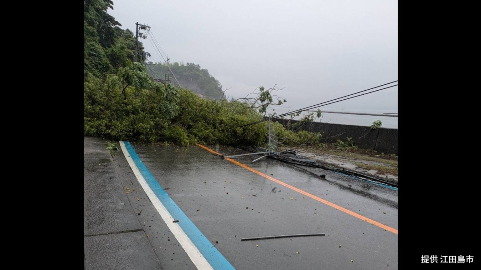 江田島市の国道487号で倒木 現在も全面通行止め続く 付近の住宅など約100戸で停電も 広島(RCC中国放送) – Yahoo!ニュース 江田島市の国道487号で倒木 現在も全面通行止め続く 付近の住宅など約100戸で停電も 広島(RCC中国放送) - Yahoo!ニュース