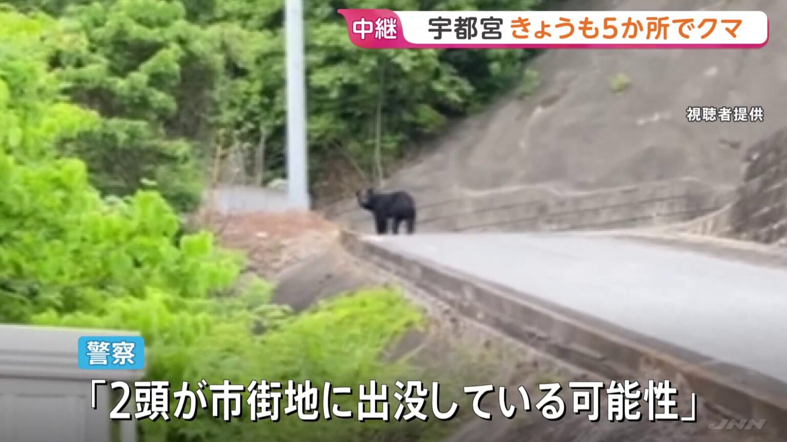 クマ目撃相次ぐ栃木・宇都宮市 9日も朝から5か所で…「2頭が市街地に出没の可能性」市内すべての市立小中学校が休校、厳戒態勢続く(TBS NEWS DIG Powered by JNN) クマ目撃相次ぐ栃木・宇都宮市 9日も朝から5か所で…「2頭が市街地に出没の可能性」市内すべての市立小中学校が休校、厳戒態勢続く(TBS NEWS DIG Powered by JNN)