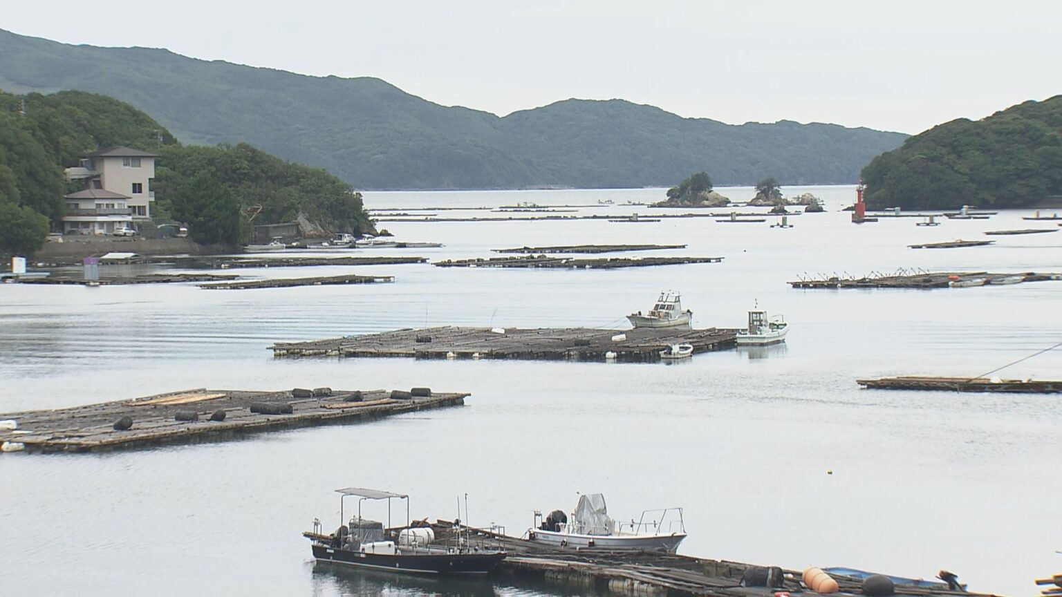 津波注意報 解除から一夜明けカキの養殖業者が作業再開 「何もなくてよかった」去年7月にはカムチャツカ半島で起きた地震による津波被害 三重・鳥羽市浦村町(CBCテレビ) – Yahoo!ニュース 津波注意報 解除から一夜明けカキの養殖業者が作業再開 「何もなくてよかった」去年7月にはカムチャツカ半島で起きた地震による津波被害 三重・鳥羽市浦村町(CBCテレビ) - Yahoo!ニュース