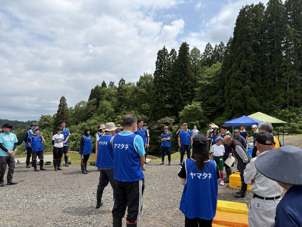 ヤマタネ/新潟県十日町市の棚田で田植え活動、社員23名参加 ─ 物流ニュースのLNEWS 20260609yamatane02 - ヤマタネ/新潟県十日町市の棚田で田植え活動、社員23名参加