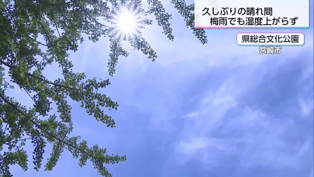 久しぶりに梅雨の晴れ間 宮崎県内カラっとした陽気に(2026年6月10日掲載)|UMK NEWS NNN 共有
