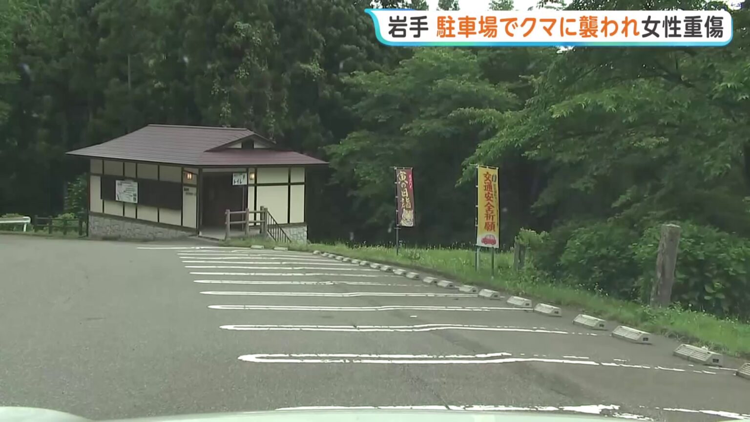岩手で女性(48)がクマに襲われ大けが 顔を骨折 神社の駐車場で車から降りたところで 花巻市(TBS NEWS DIG Powered by JNN) 岩手で女性(48)がクマに襲われ大けが 顔を骨折 神社の駐車場で車から降りたところで 花巻市(TBS NEWS DIG Powered by JNN)