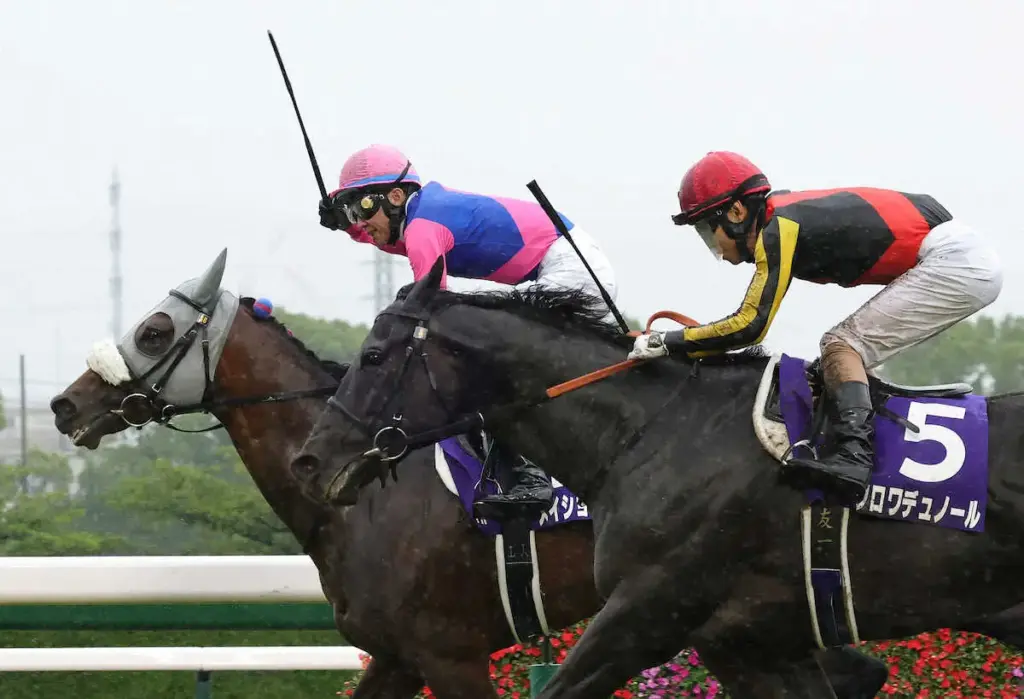 【宝塚記念】武豊「いい練習になったわ、フランスの」悲願凱旋門賞へ珍しく?雄叫び – スポニチ Sponichi Annex ギャンブル 【宝塚記念】武豊「いい練習になったわ、フランスの」悲願凱旋門賞へ珍しく?雄叫び - スポニチ Sponichi Annex ギャンブル